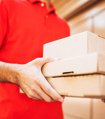 India to USA Courier Service