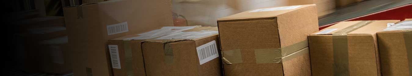 cheapest international parcel service in india